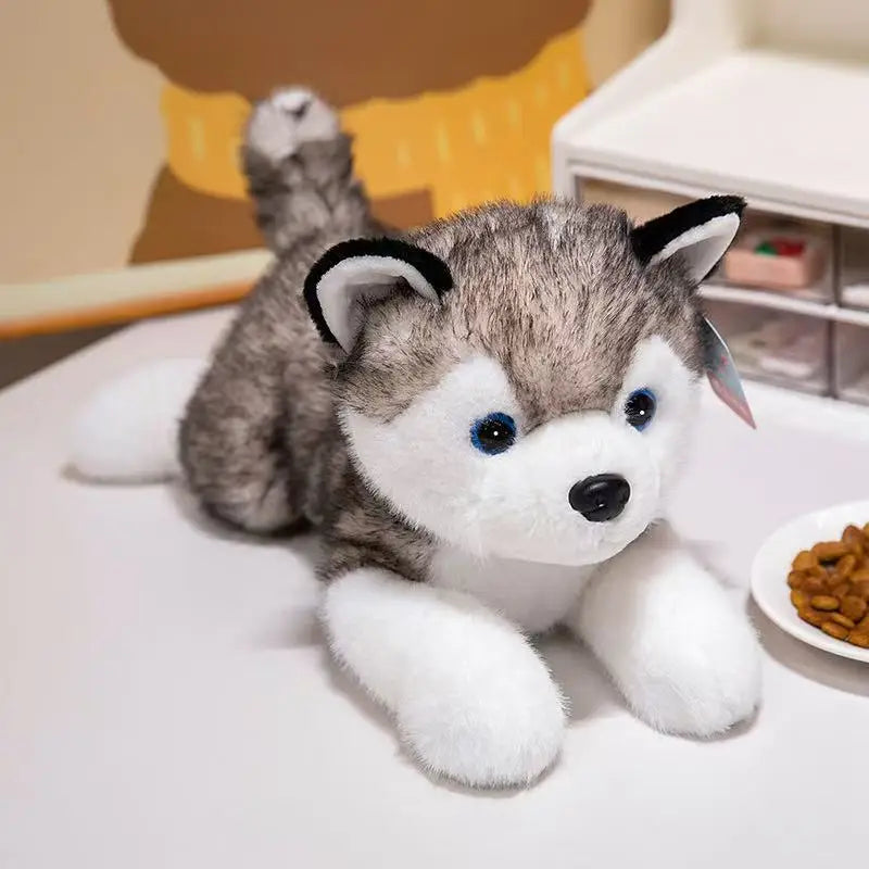 Peluche husky Loupie 40cm