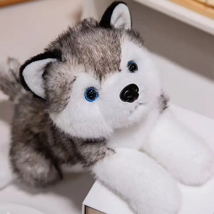 Peluche husky Loupie 40cm