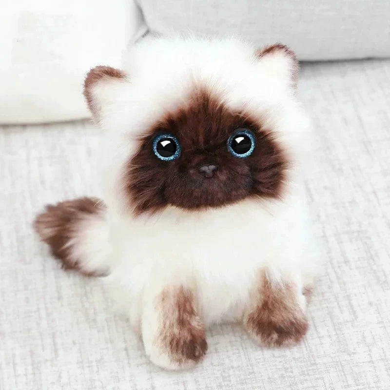 Peluche chaton siamois Moka 26cm