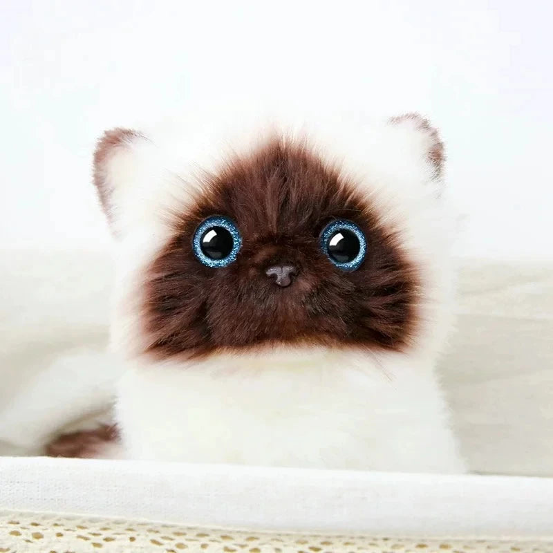 Peluche chaton siamois Moka 26cm