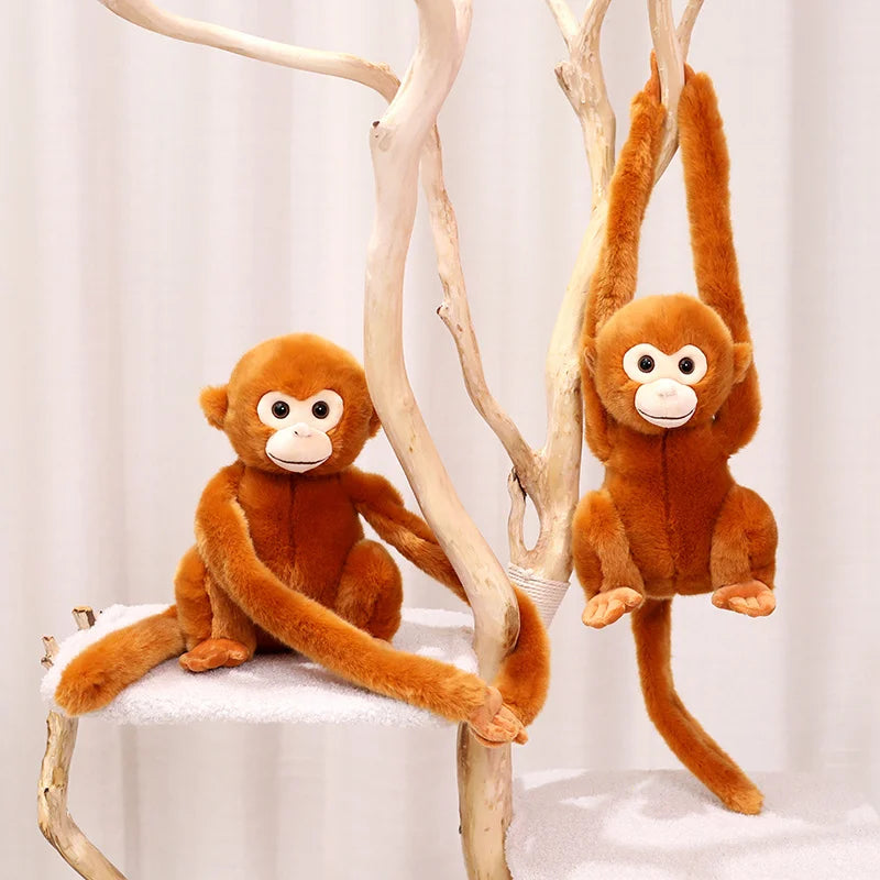 Peluche singe long bras Chico 28cm