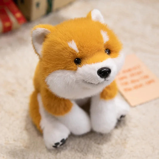 Peluche shiba inu Hoshi 30cm
