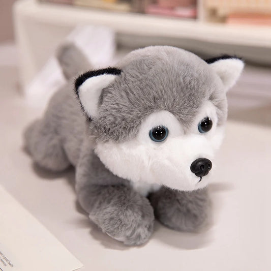 Chien husky peluche Snow 25cm