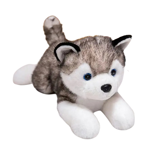 Peluche husky Loupie 40cm