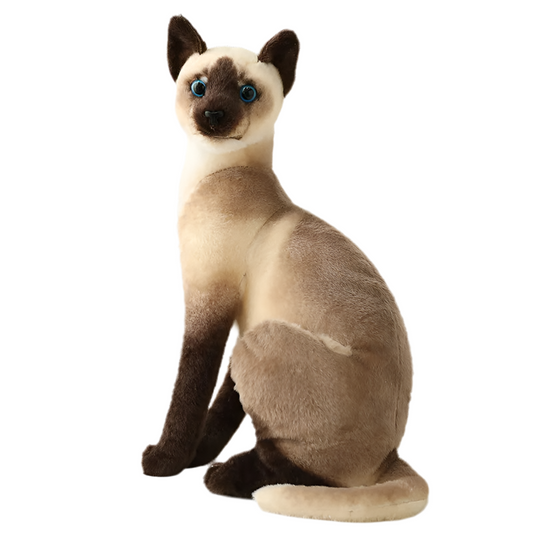 Peluche chat siamois réaliste Saphir 35cm