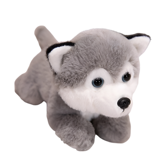 Chien husky peluche Snow 25cm