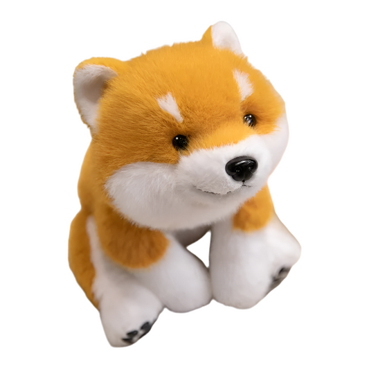 Peluche shiba inu Hoshi 30cm