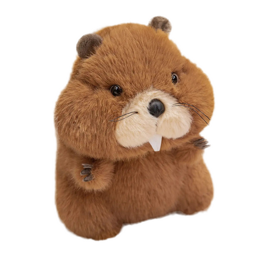 Marmotte peluche Chocolat 35cm