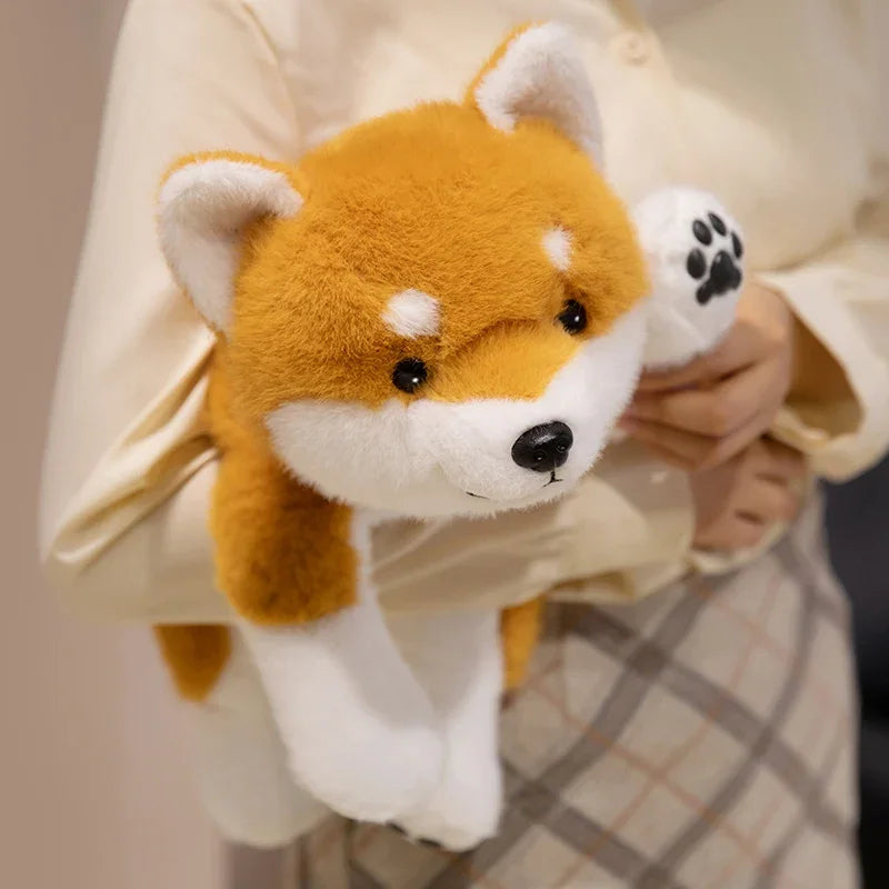 Peluche shiba inu Hoshi 30cm