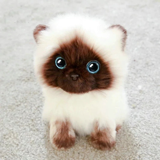 Peluche chaton siamois Moka 26cm