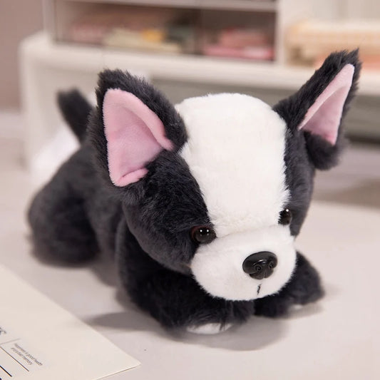 Peluche bouledogue français Biscotte 25cm