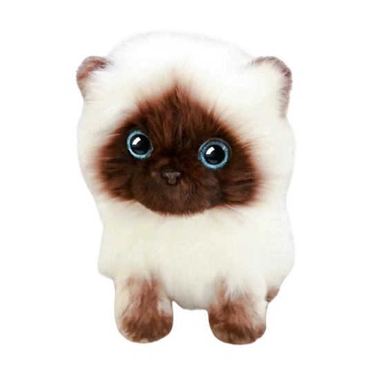 Peluche chaton siamois Moka 26cm