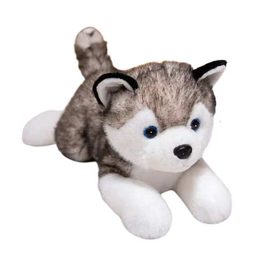 Peluche husky Loupie 40cm
